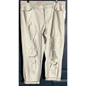 Anthropologie Pilcro Slim Boyfriend Jeans 18W